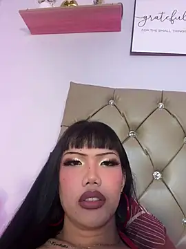 Chat XXX Live StarLovee
