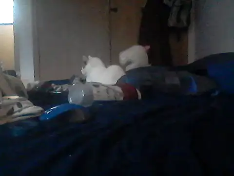 Chat XXX en directo de Silencio26