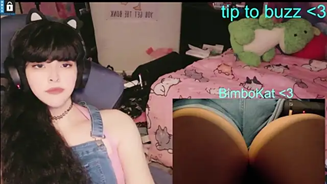 BimboCat Obrolan Langsung XXX