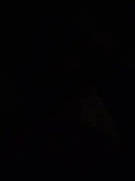 Nyash-boy Live XXX-chat