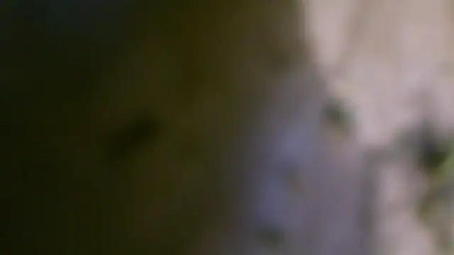 Chat +18 de nastydianastrips ao vivo