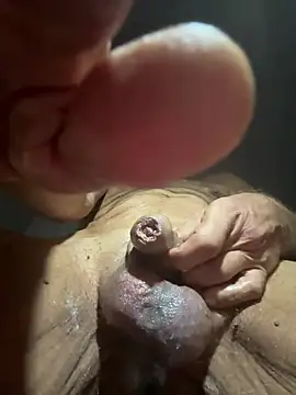 عرض كام PierPesaroX
