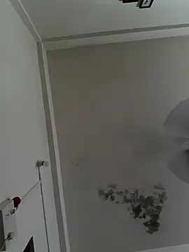 mmsboy321 webcam show