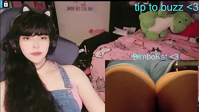 Chat XXX Live BimboCat