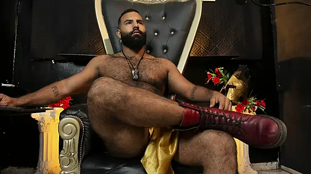 عرض كام BeardAndrew