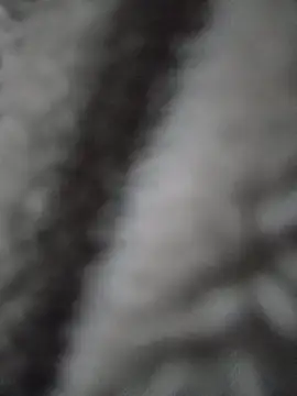 WiseDin Webbikameraesitys