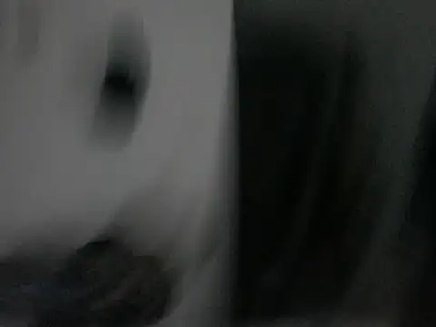 Chris_Angel05 网络视讯表演