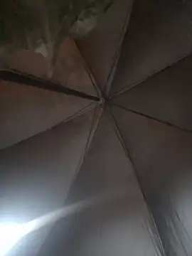 SiciliMan Chat XXX live