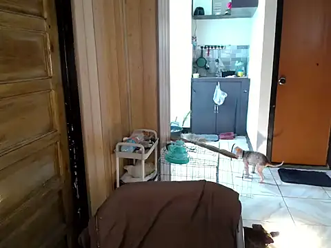 Chat XXX en directo de jakoloten