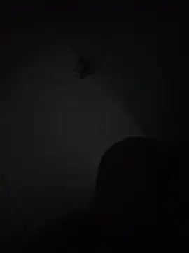 Boozle666 élő XXX-chatje