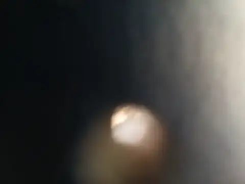 mariusSingur Chat XXX live