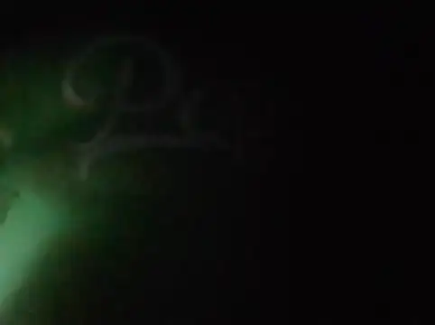 S7LEALTADPERVLIMA7 webkamerás műsora