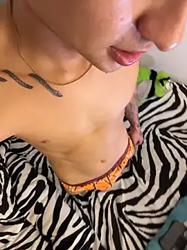 Stiven_neithan webcam show