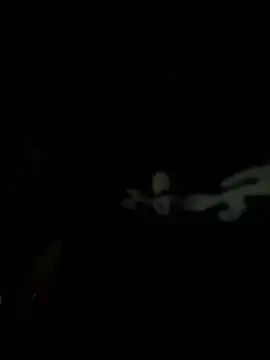 WALIUR00X1の  ウェブカメラショー