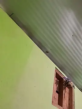 chandrasirikn Webbikameraesitys