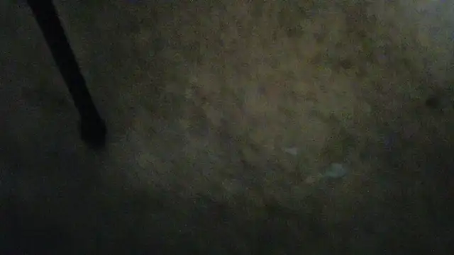 FelixStarkk – Naživo XXX chat