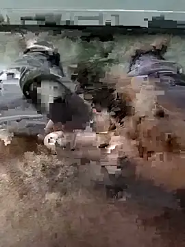 Chat XXX Live spermc