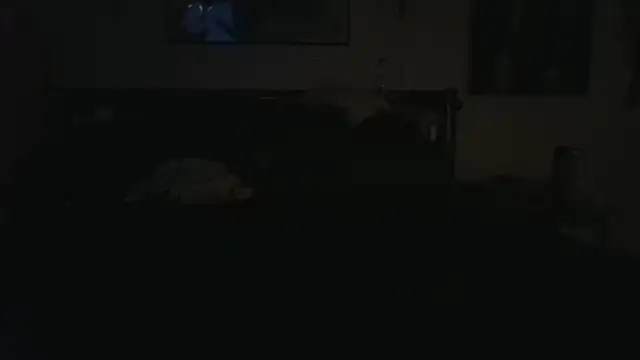 dapowercouple's Live XXX Chat