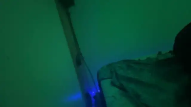 neonginger XXX чат на живо