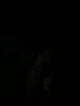 Dddydick1 ওয়েবক্যাম শো