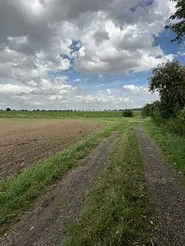 LinaLeanan Webbikameraesitys