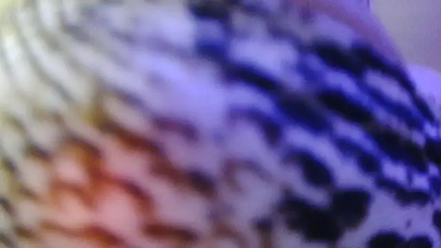 darnette_daisyn Live XXX chat