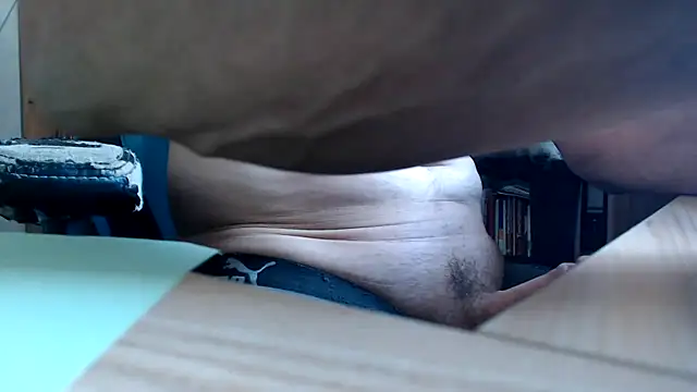 Horwein's Webcam Show