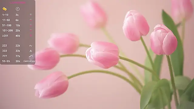 Lovensetest 即時 XXX 聊天