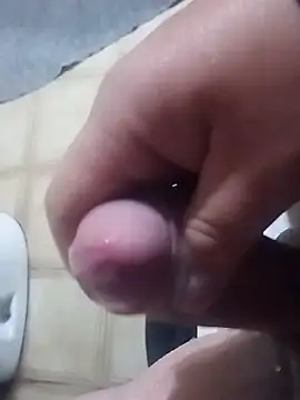 Show webcam de Nand0f