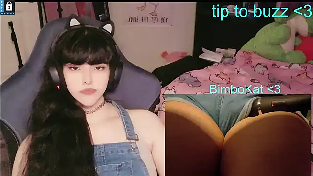 צ'אט XXX בשידור חי של BimboCat
