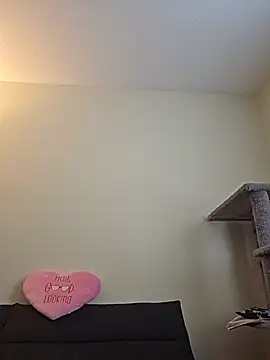 Ashloves_ élő XXX-chatje