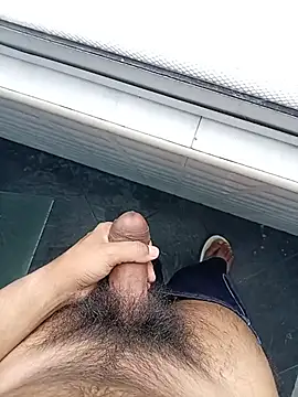 steffaa Live XXX-chat