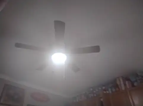 Chat XXX Live ReallyReallyReal