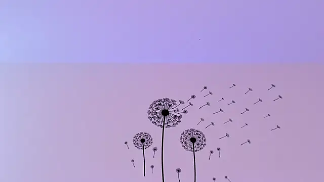 miahkumarのライブXXXチャット