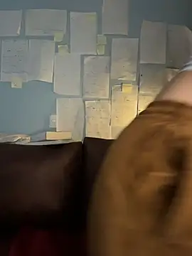 Chat XXX ao vivo de Canneela
