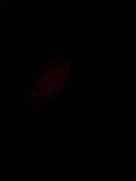 rajsinghfucking's Live XXX Chat