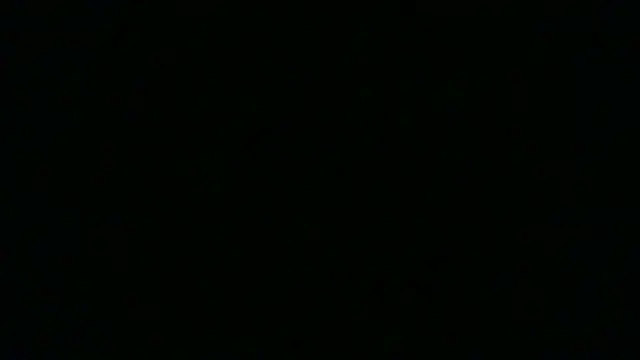 SamuelTal 现场XXX聊天