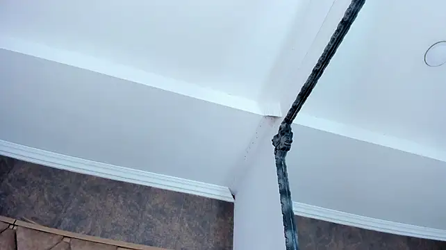 Živý XXX chat EimyAndMaxi
