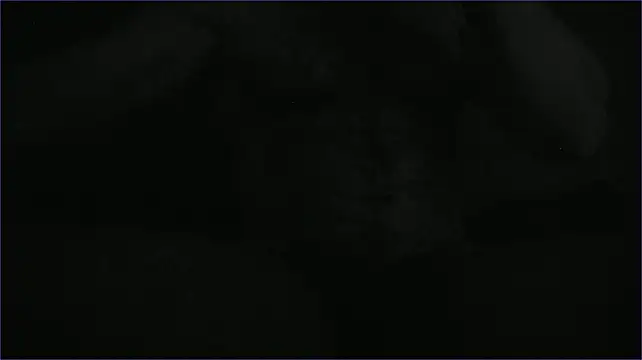 Hugealphabeast – webcam-show