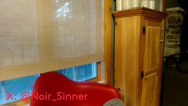 Webkamerová show sinnernoir