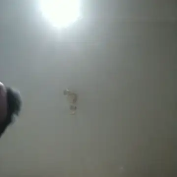 davidgra19788 live XXX chat