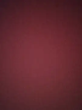 Yofav12 webcam show