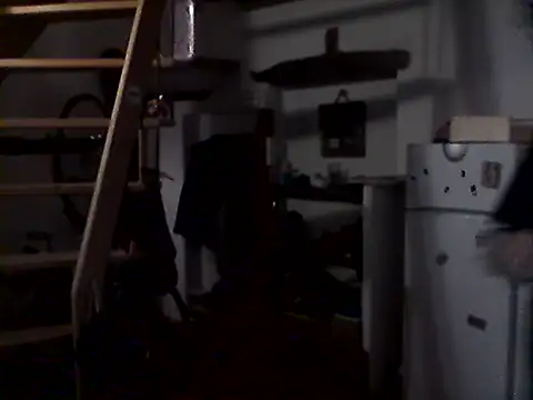 MonKeeees Webcam Show