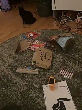 Johangrunnn Webbikameraesitys