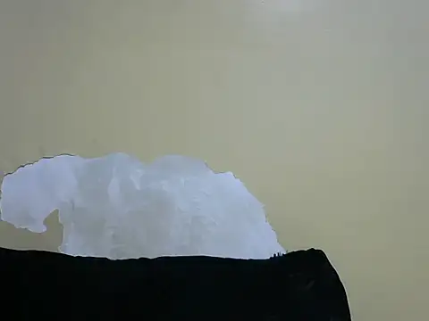 wild_vixen's Live XXX Chat
