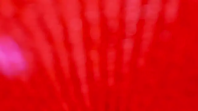 Alexxus_Smith 现场XXX聊天