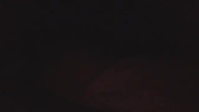 SHARPSkinhead Webcam-Show