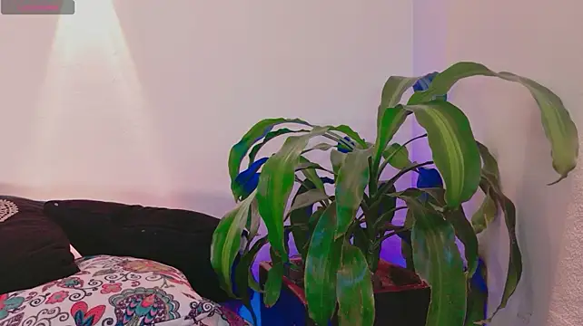 Chat XXX en directo de Mandy_boobs99