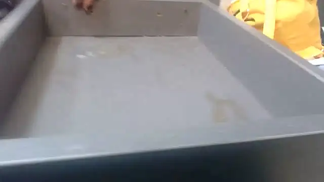 Bunnyxx01's Live XXX Chat