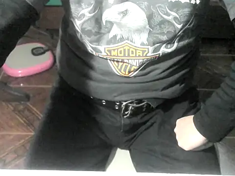 Show de webcam de OreCam